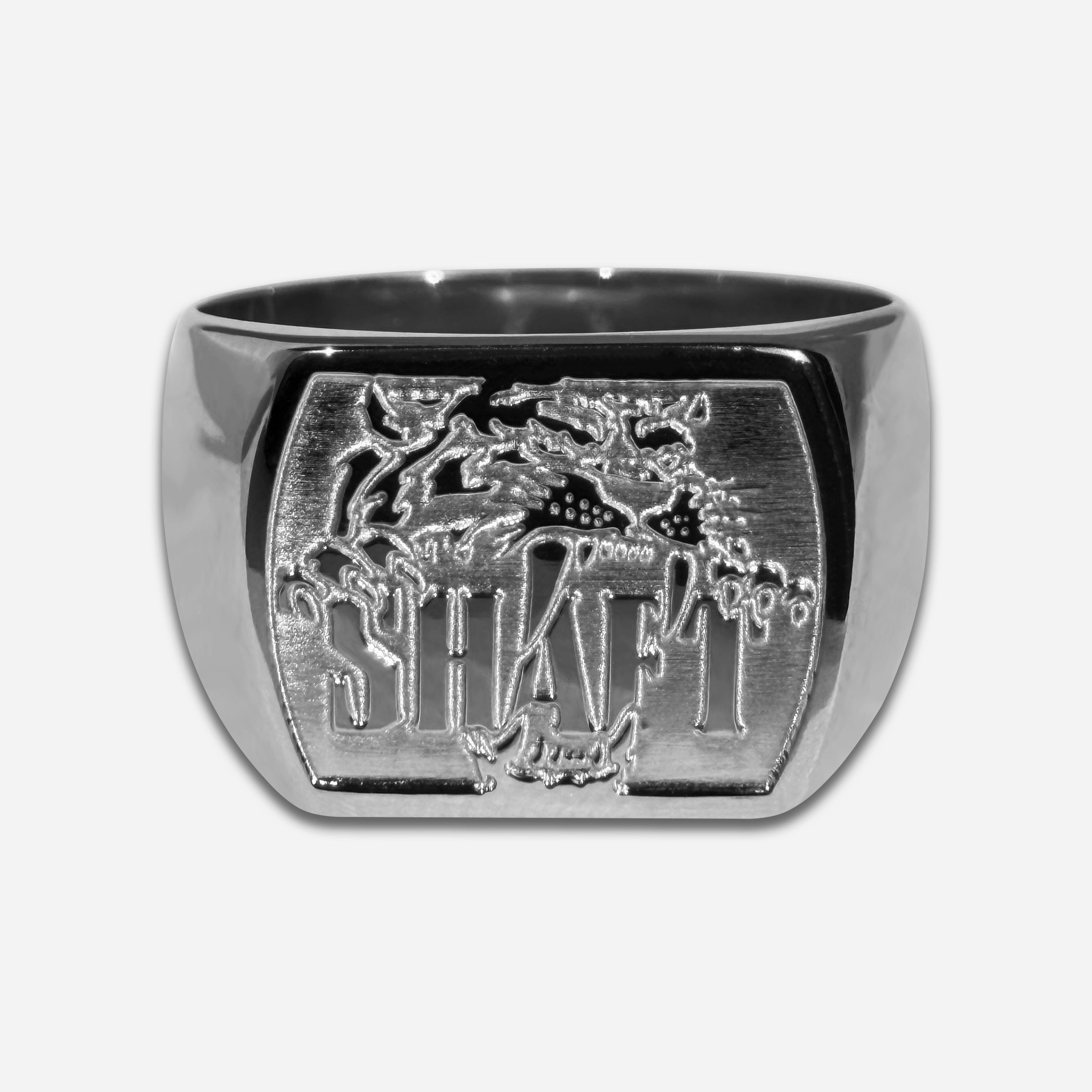 Shaft - Ring